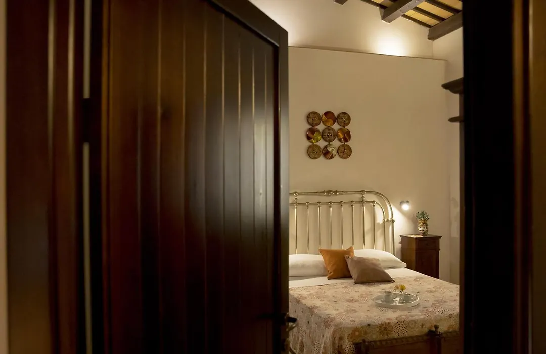 B&B Sabir-1